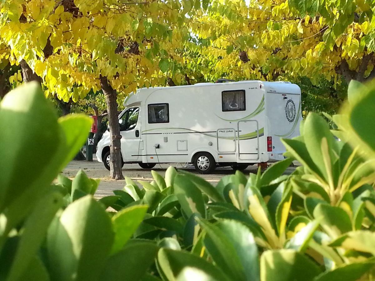 Camping Bellsol 皮内达德马尔 外观 照片